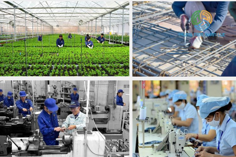 Lao động 35 tuổi đi xuất khẩu lao động