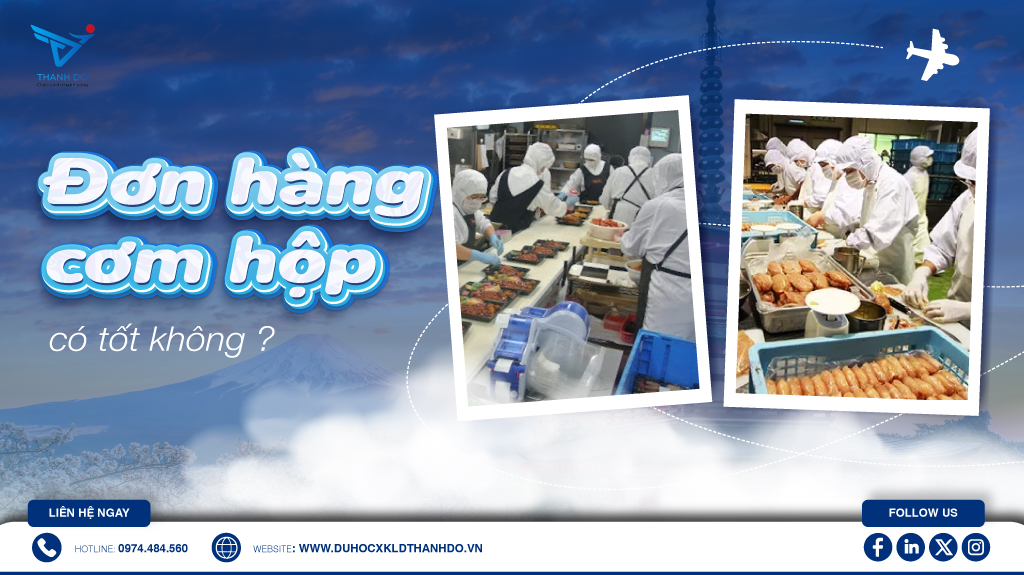 Đơn hàng cơm hộp có tốt không?