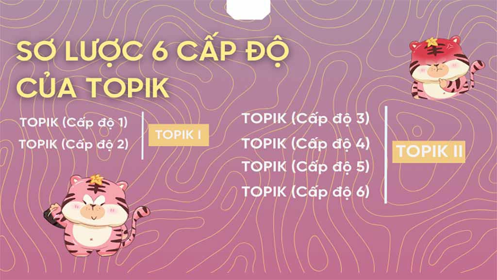 Phân loại các cấp TOPIK tiếng Hàn hiện nay