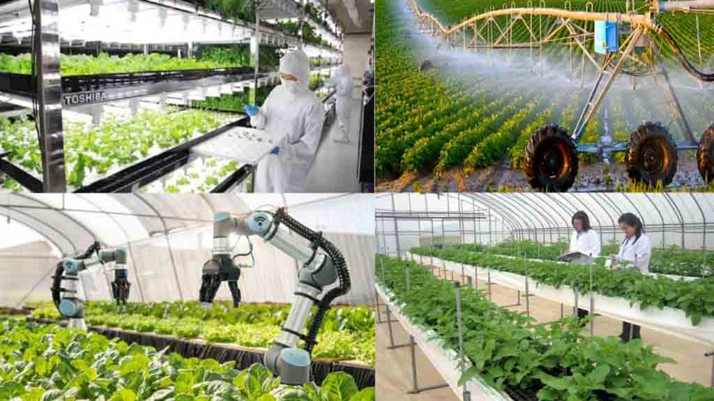 Đặc trưng nền nông nghiệp Nhật Bản