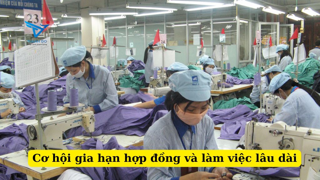 Cơ hội gia hạn hợp đồng và làm việc lâu dài