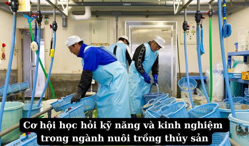 Cơ hội học hỏi kỹ năng và kinh nghiệm trong ngành nuôi trồng thủy sản