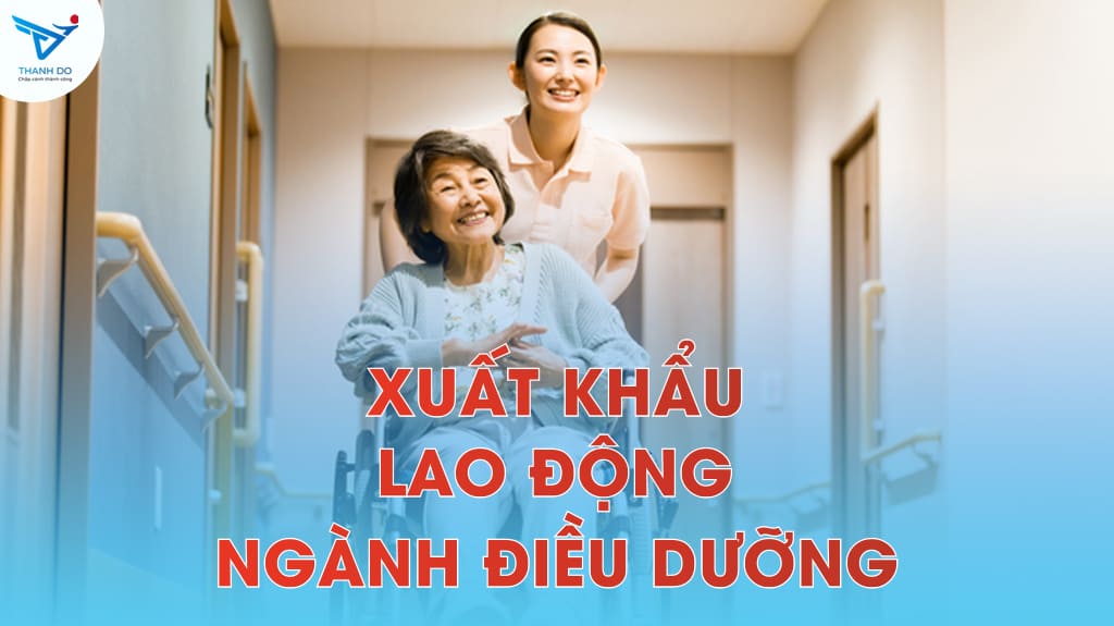 Cơ hội thu nhập tốt và định cư lâu dài khi đi xuất khẩu lao động ngành điều dưỡng