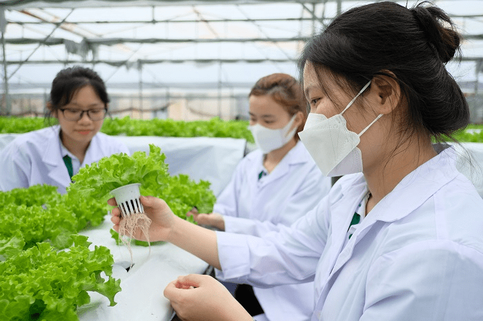 Công việc của kỹ sư nông nghiệp trồng trọt