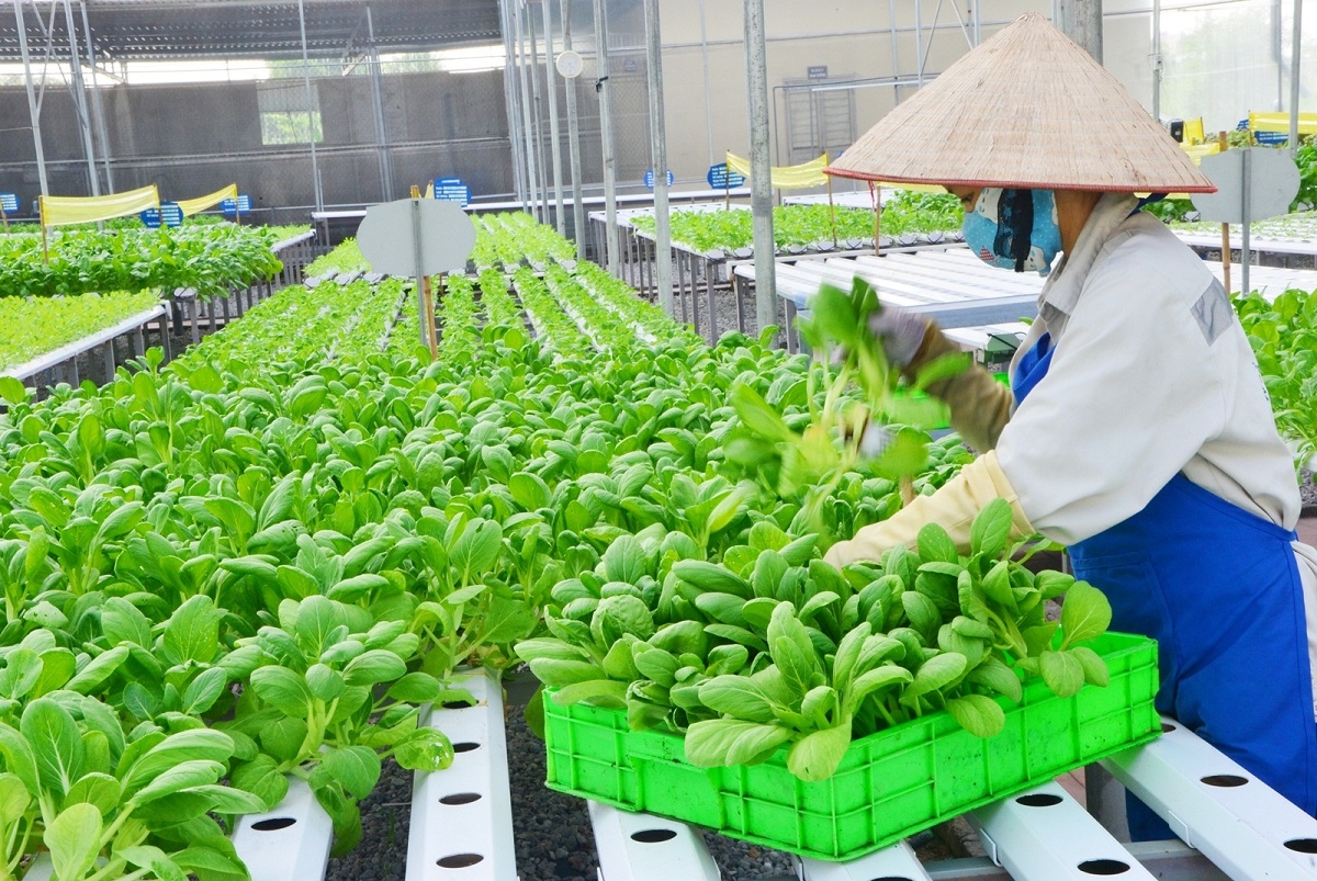 Công việc trồng trọt