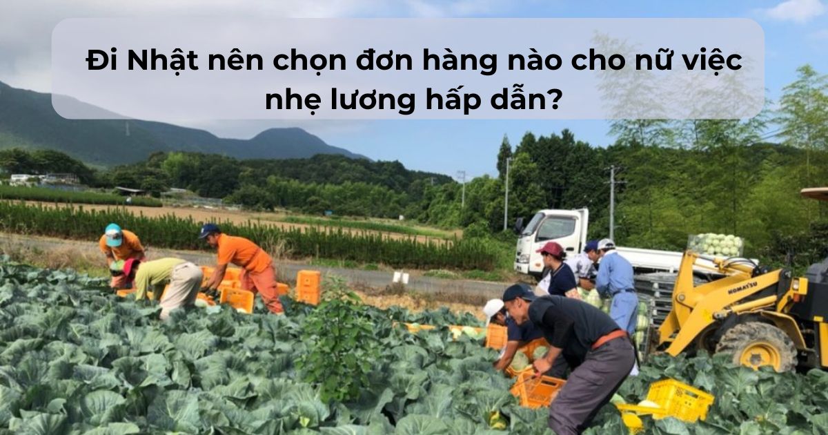 Bỏ túi một số kinh nghiệm lựa chọn đơn hàng đi Nhật cho nữ