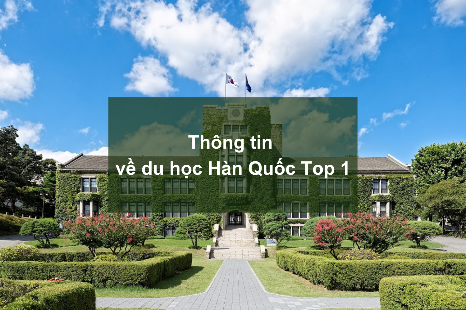 Điều kiện du học Hàn Quốc các trường top 1
