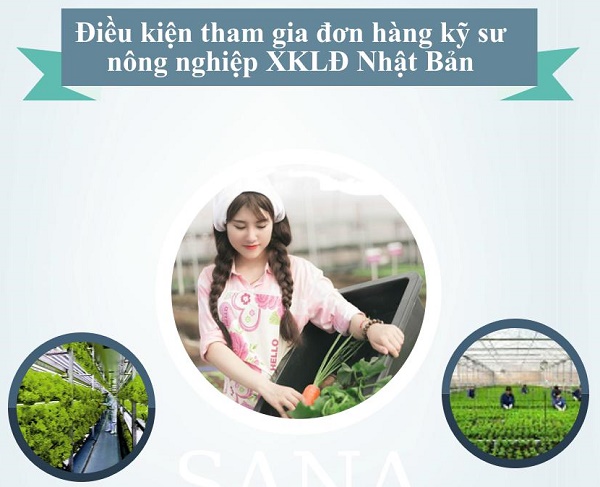 Điều kiện tham gia đơn hàng kỹ sư nông nghiệp làm việc tại Nhật Bản