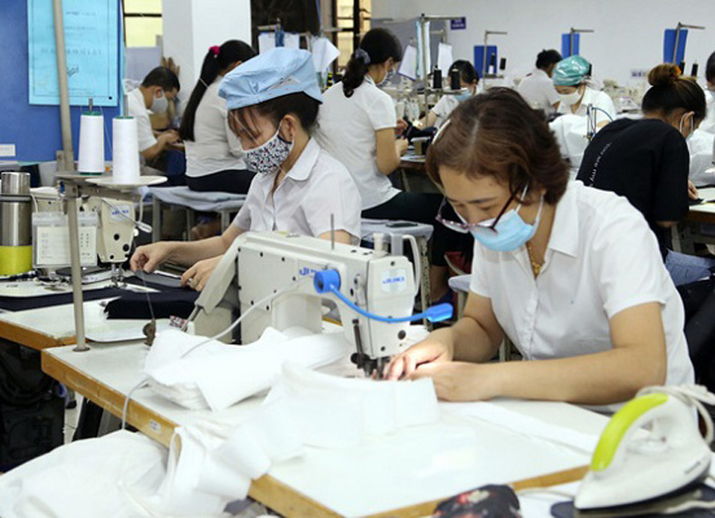 Trình độ học vấn và kinh nghiệm làm việc