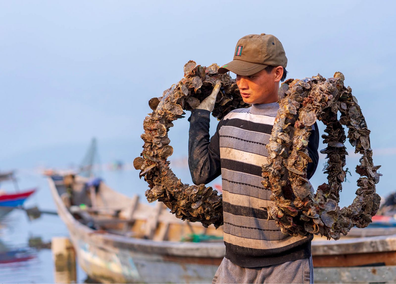 Điều kiện đi XKLĐ đơn hàng nuôi trồng, thu hoạch hàu Nhật Bản