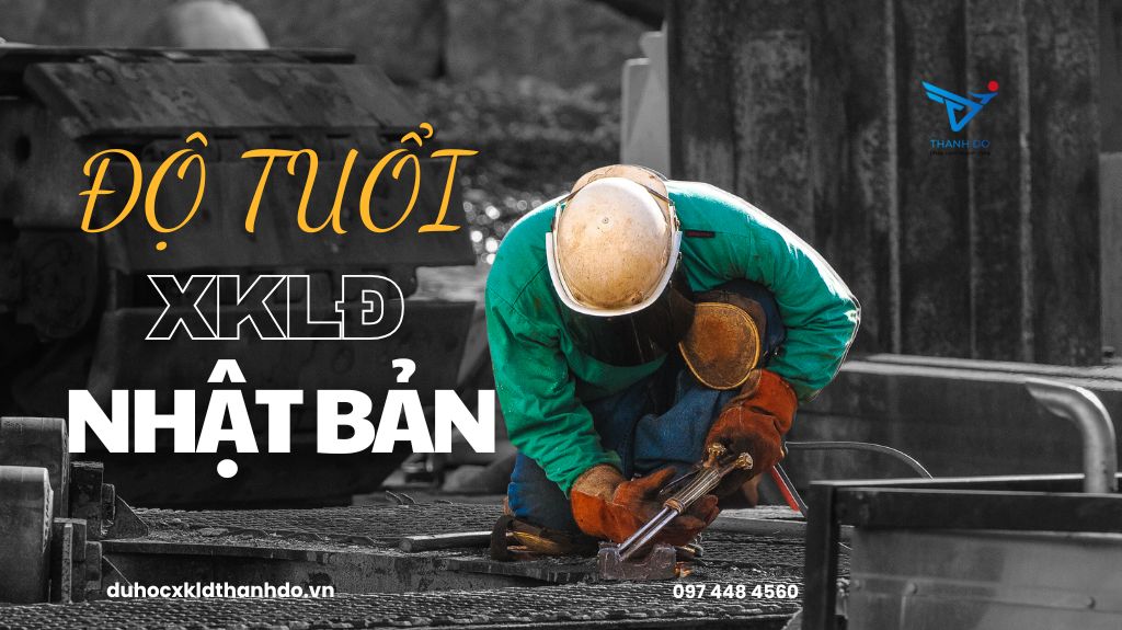 Đâu là độ tuổi thích hợp để đi xuất khẩu lao động Nhật Bản?