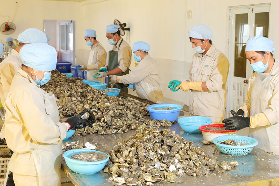 Cơ hội việc làm ổn định và nhu cầu tuyển dụng cao