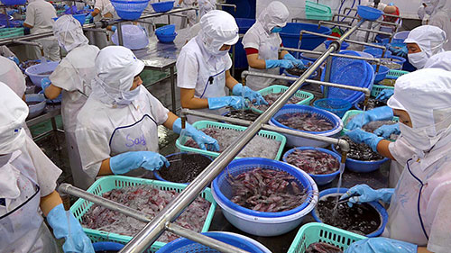Đơn hàng chế biến thủy sản (cá, tôm, mực,...)
