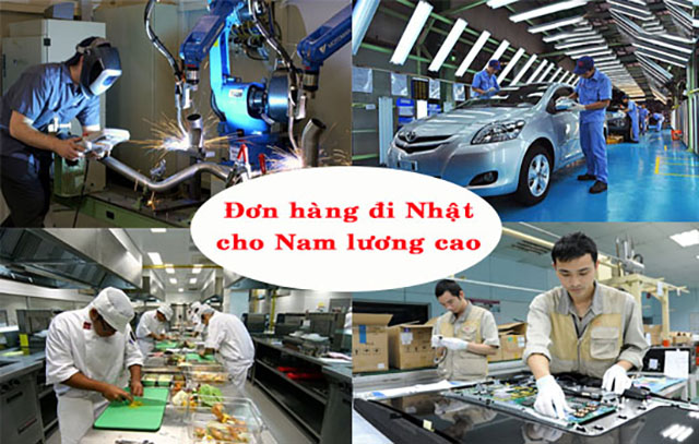 Chọn đơn hàng đi Nhật theo giới tính