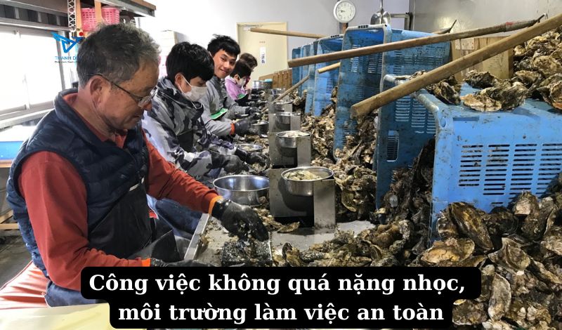 Công việc không quá nặng nhọc, môi trường làm việc an toàn
