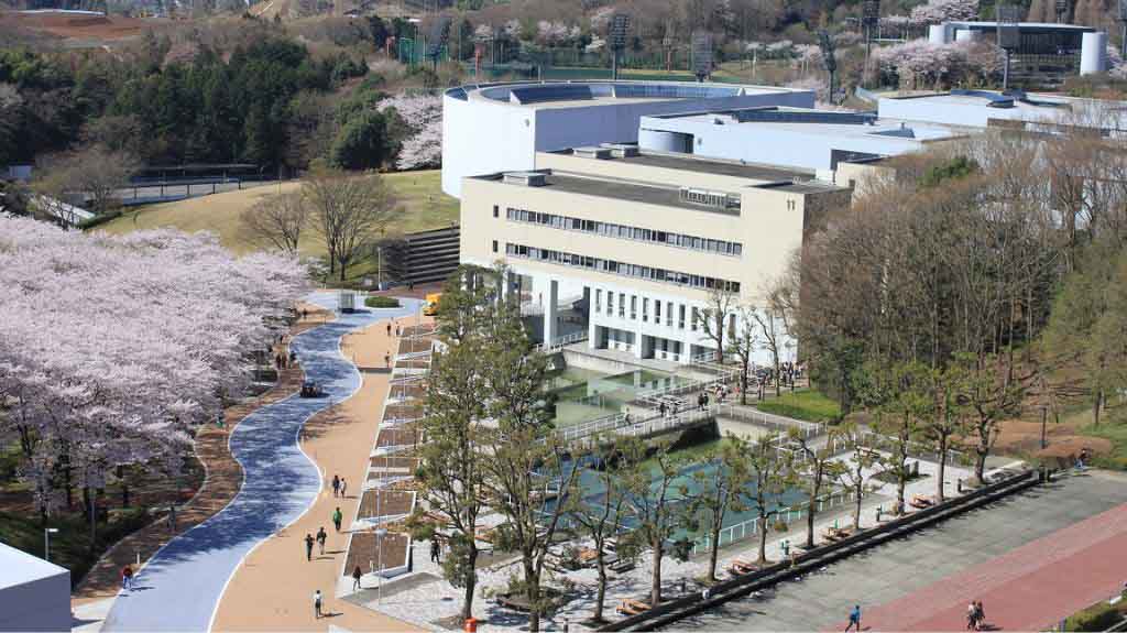 Đại học Chuo – Trường đại học hàng đầu về kế toán tại Tokyo