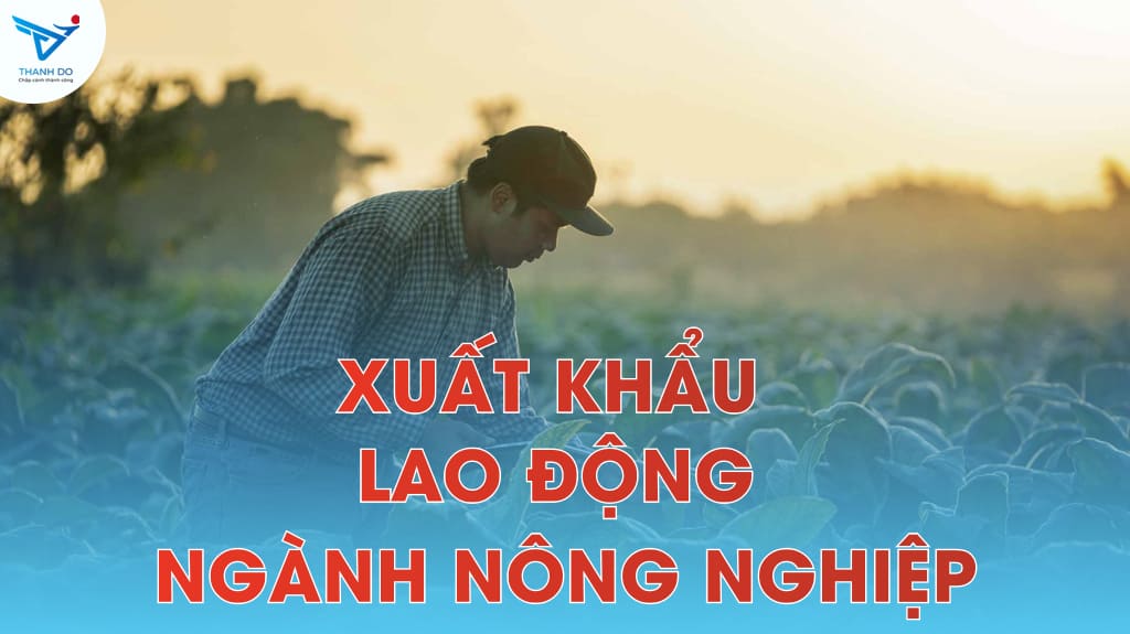 Lao động trong ngành nông nghiệp với công việc đơn giản, ít áp lực