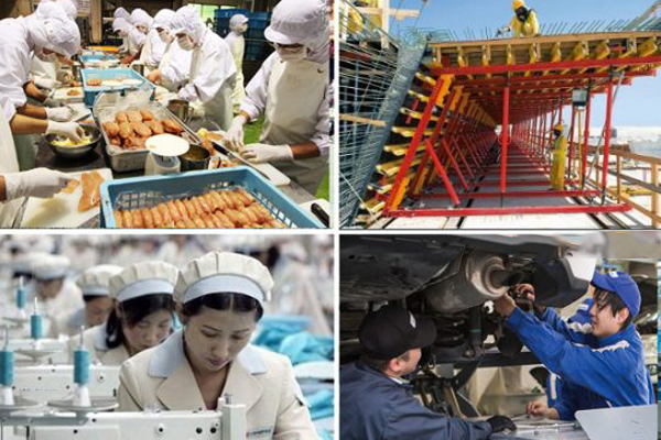 Về môi trường làm việc khi đi XKLĐ