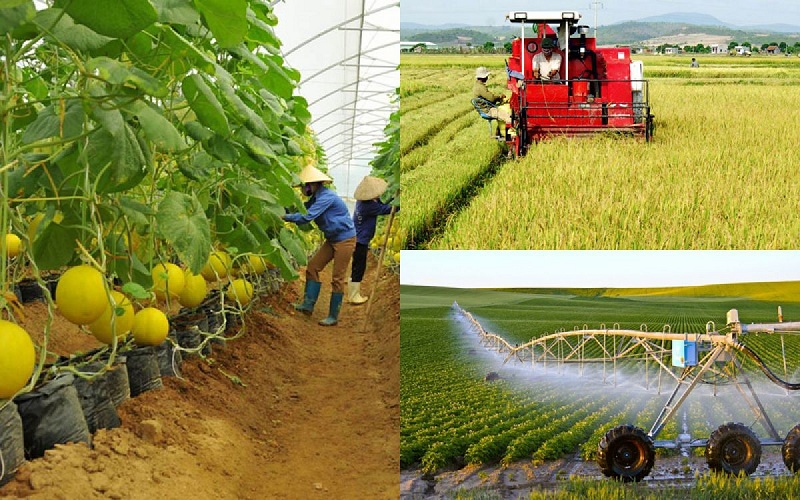 Ngành nông nghiệp, chế biến thực phẩm – thủy sản