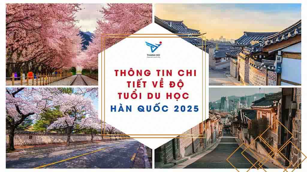 Thông tin chi tiết về độ tuổi du học Hàn Quốc năm 2025