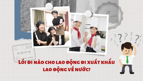 Xuất khẩu lao động về làm gì?