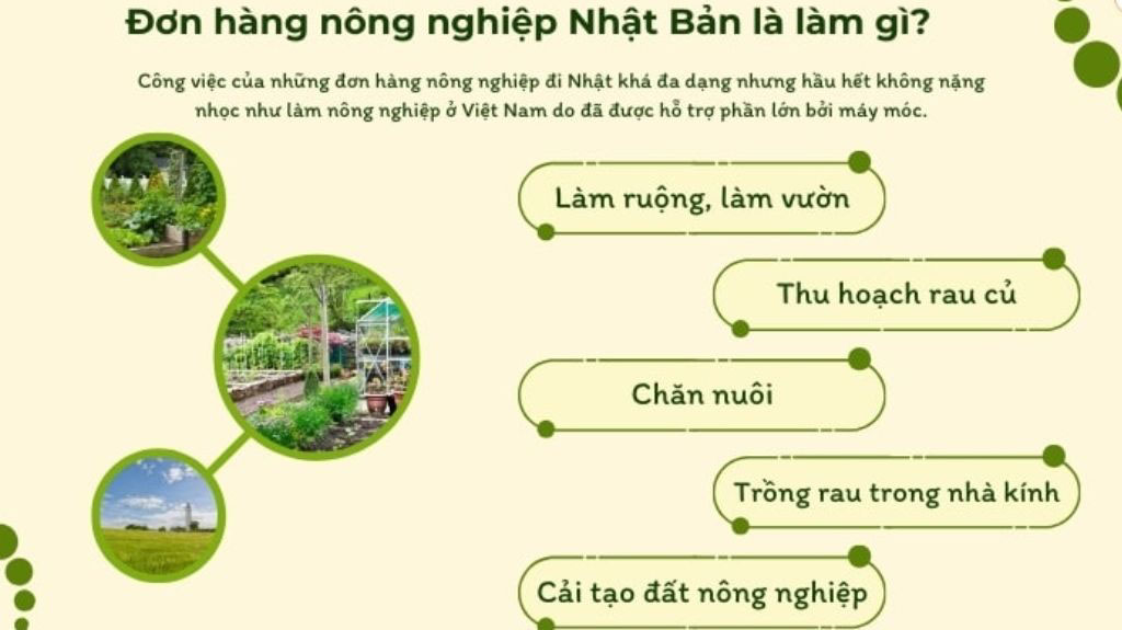 Xuất khẩu lao động Nhật Bản đơn nông nghiệp làm những công việc gì?