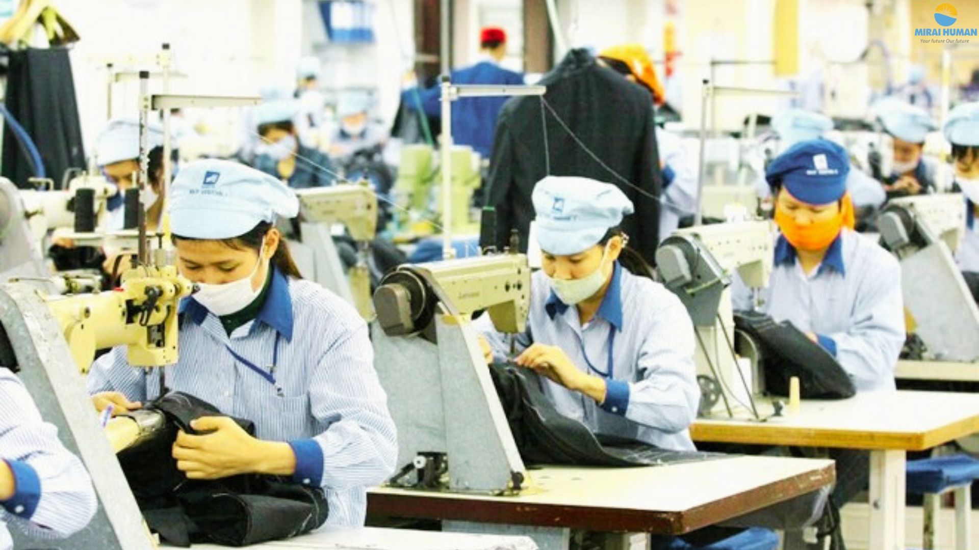 Yêu cầu làm việc và hỗ trợ từ phía công ty